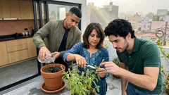 El truco de poda para que tu albahaca se ponga frondosa y no se espigue